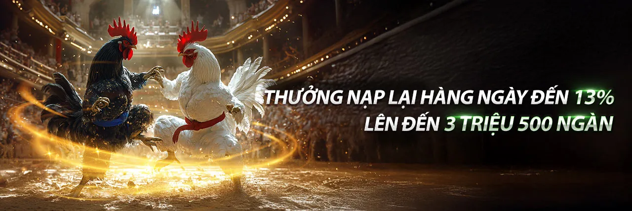 Đá gà trực tiếp ngày 31 tháng 3 - Sân đấu bùng nổ